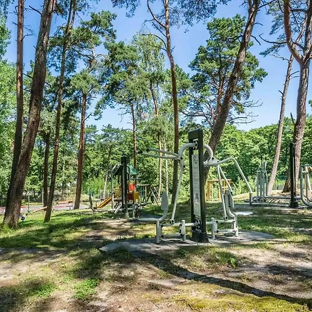 *** Nat Krynica Morska